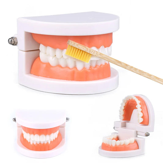 Tooth Brushing Teaching Aid