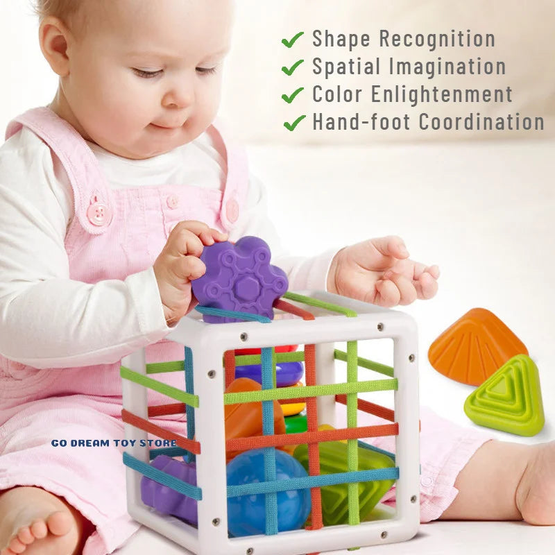 Montessori Learning Educational Toys For Baby 0 12 Months