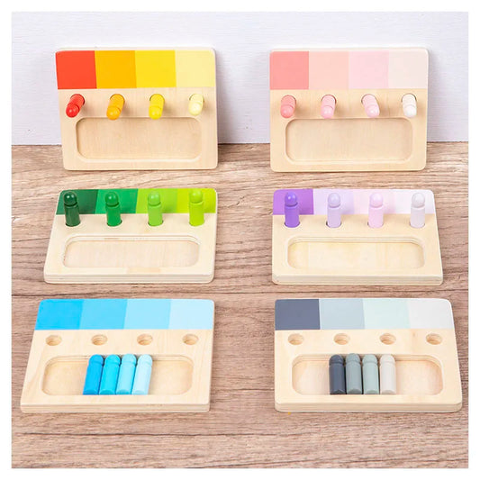 Wooden Montessori Toy Colour Sense System Training