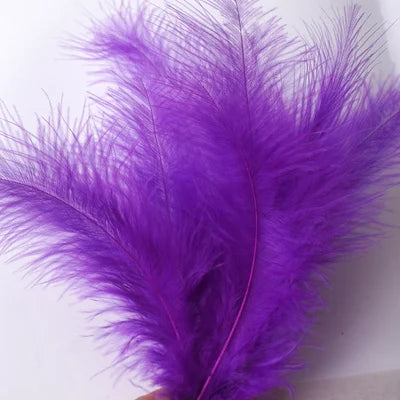 50pcs Natural Feathers 4-6 Inches 10-15cm