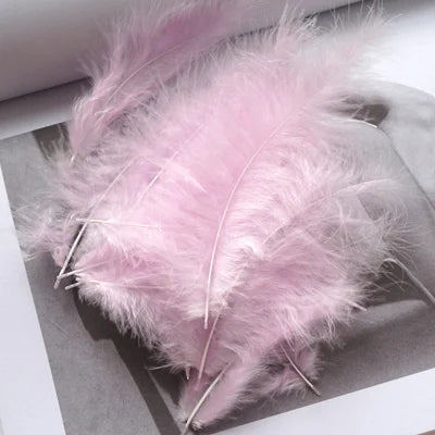 50pcs Natural Feathers 4-6 Inches 10-15cm