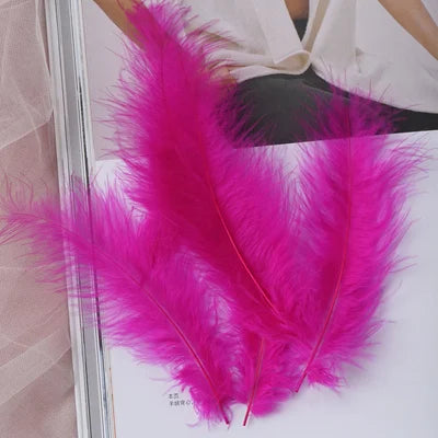 50pcs Natural Feathers 4-6 Inches 10-15cm