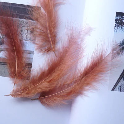 50pcs Natural Feathers 4-6 Inches 10-15cm