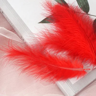 50pcs Natural Feathers 4-6 Inches 10-15cm