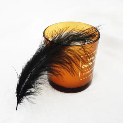 50pcs Natural Feathers 4-6 Inches 10-15cm