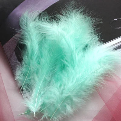 50pcs Natural Feathers 4-6 Inches 10-15cm