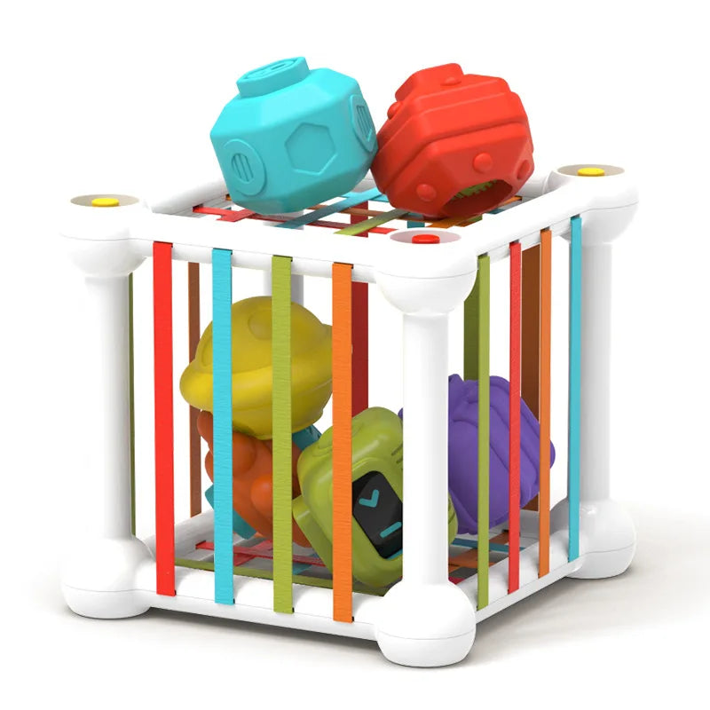 Baby Shape Sorter Montessori Sensory Activity Cube