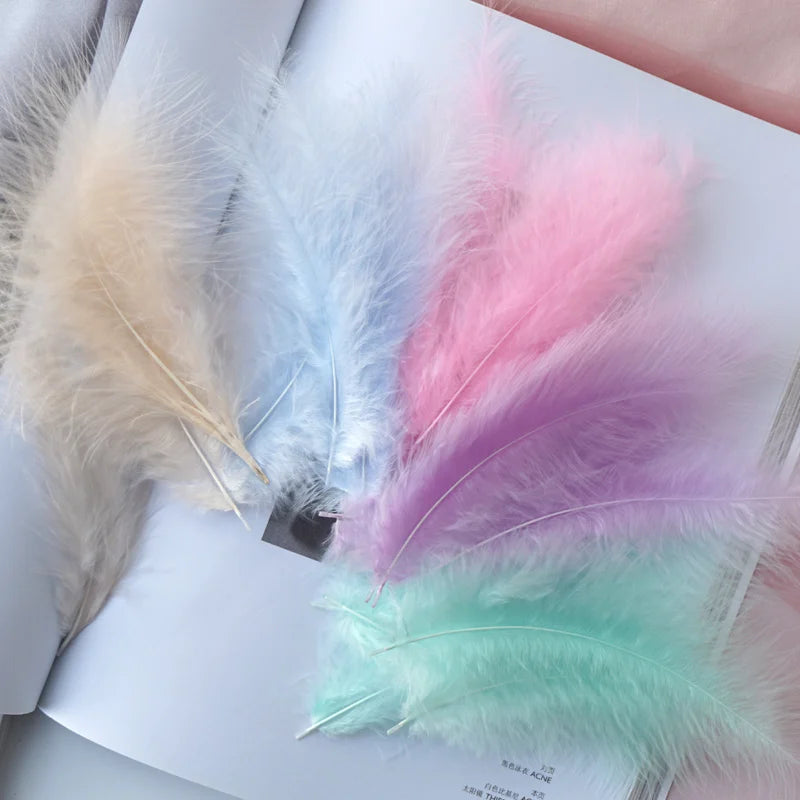 50pcs Natural Feathers 4-6 Inches 10-15cm