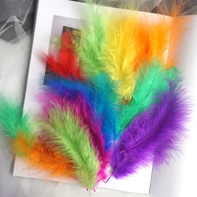 50pcs Natural Feathers 4-6 Inches 10-15cm