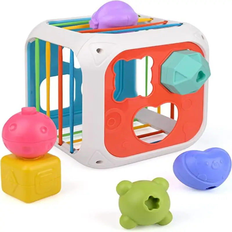 Baby Shape Sorter Montessori Sensory Activity Cube