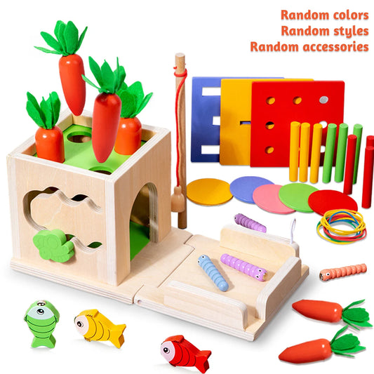 8 In 1 Montessori  Box Carrots