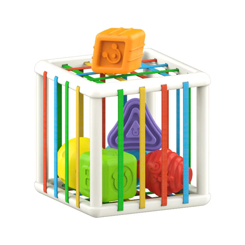 Baby Shape Sorter Montessori Sensory Activity Cube