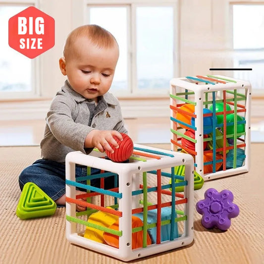 Montessori Learning Educational Toys For Baby 0 12 Months