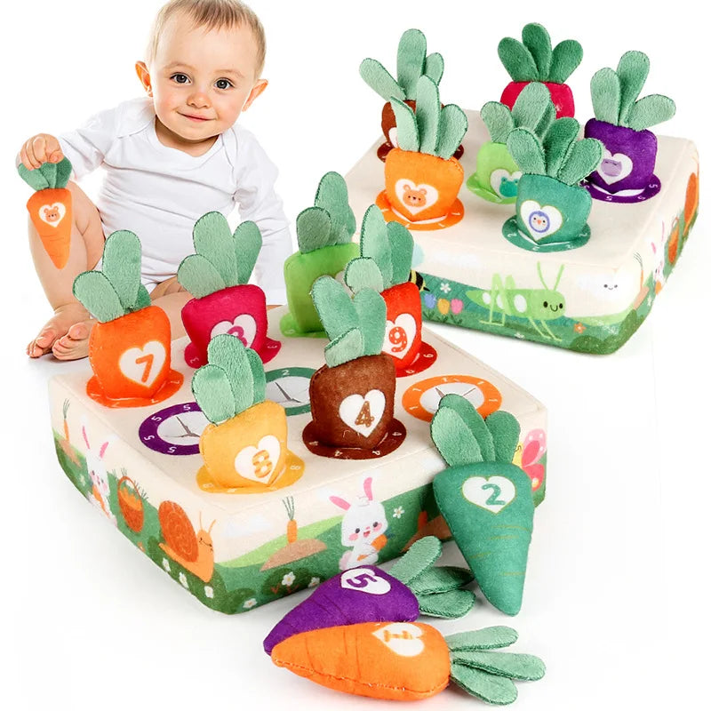 Baby Montessori  Developing Sensory Toys