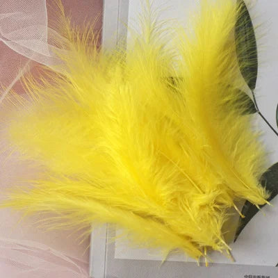 50pcs Natural Feathers 4-6 Inches 10-15cm