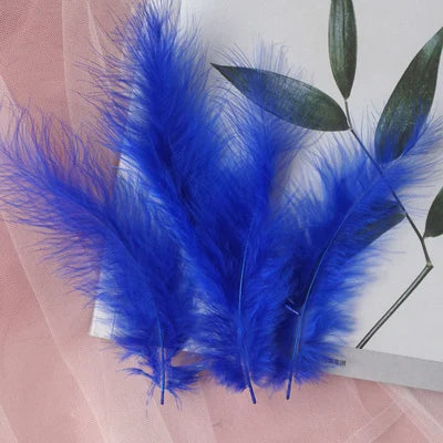 50pcs Natural Feathers 4-6 Inches 10-15cm