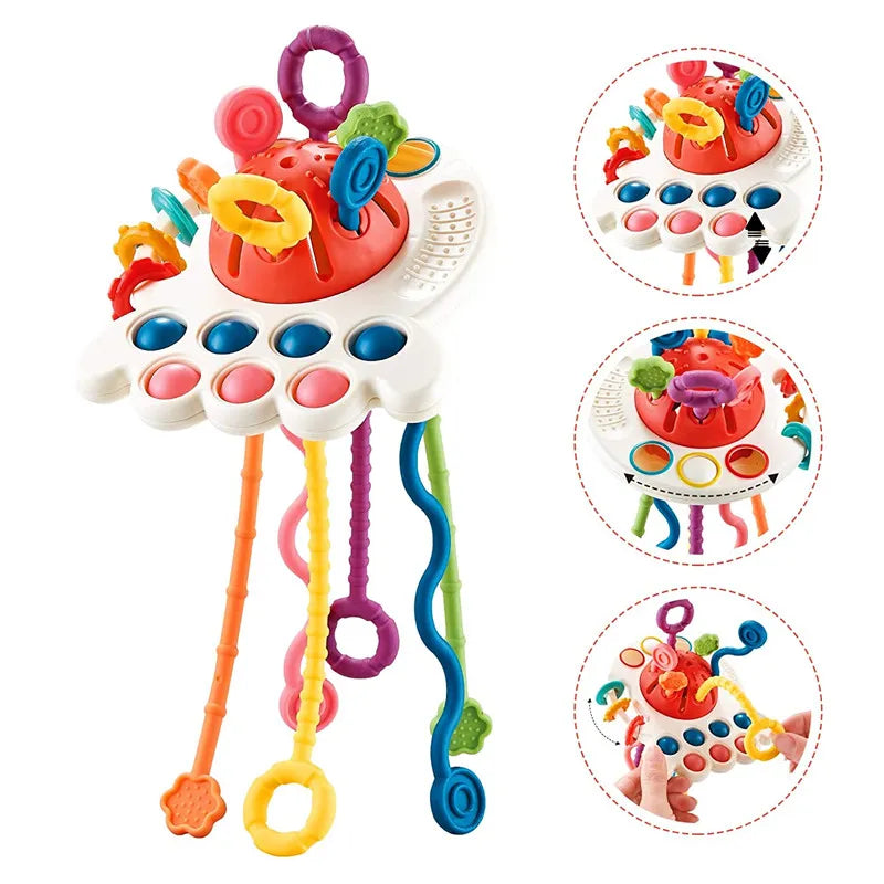 Baby Montessori  Developing Sensory Toys